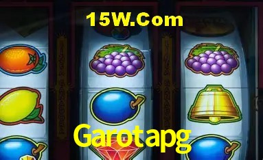 Sistemas de Segurança Garotapg