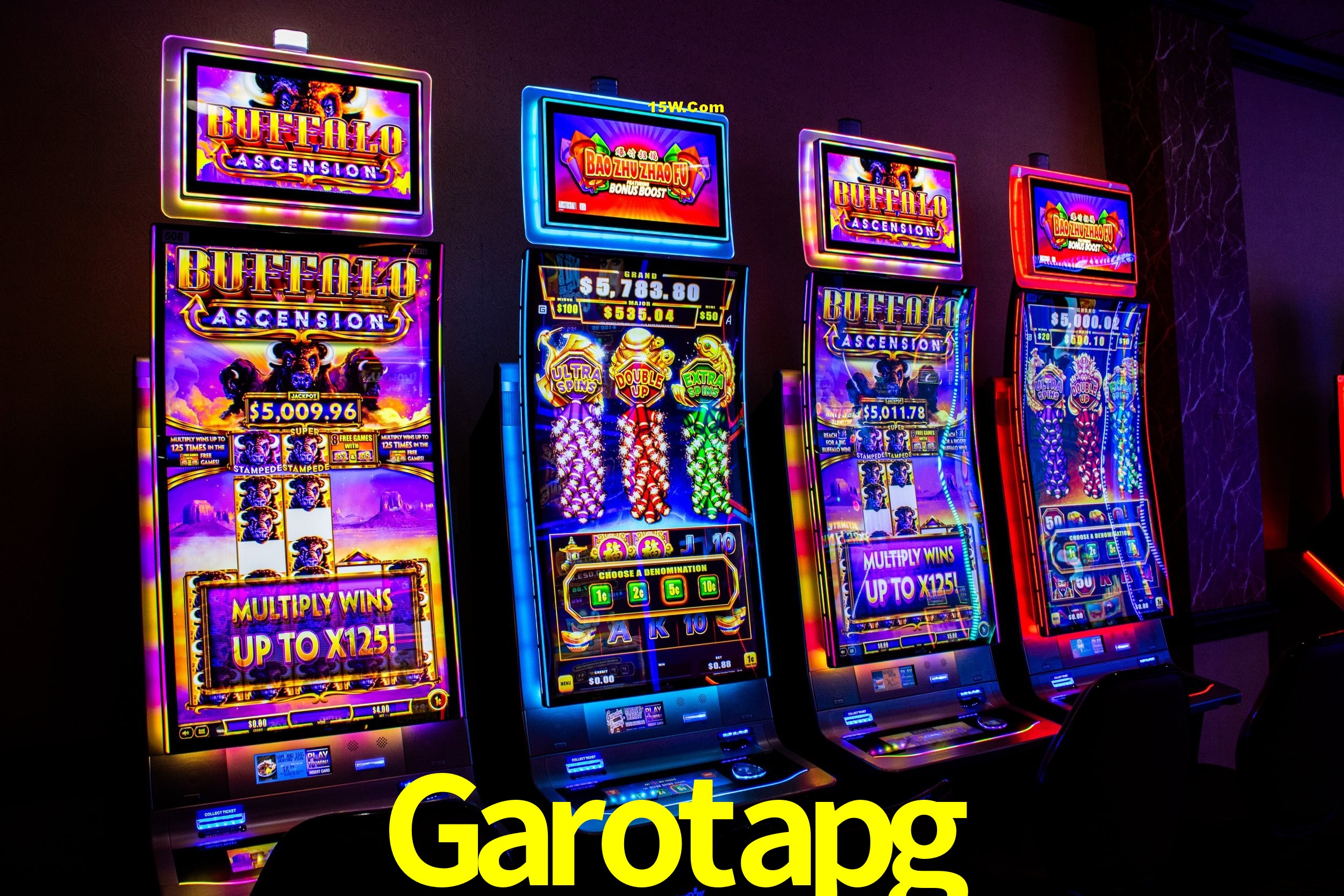 Security Systems Garotapg