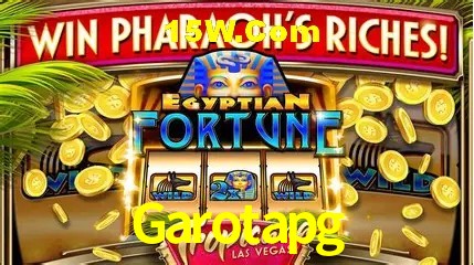 Garotapg Salvador - Statistics